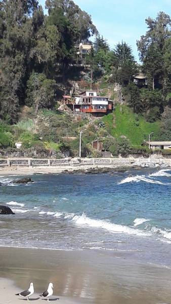 PARCELA VALPARAISO, HORCON