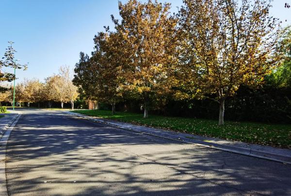 VENDE CON CASAS CHICUREO 