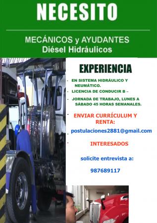 MECÁNICOS HIDRÁULICOS Y AYUDANTES 