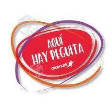 AUXILIAR ROTATIVO M Y T PROVIDENCIA 