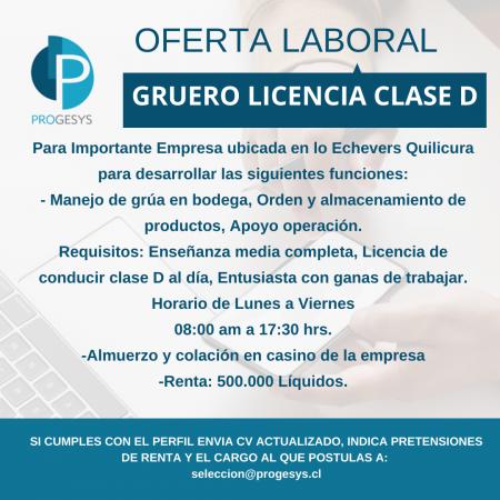 GRUERO LICENCIA CLASE D