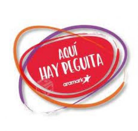 AUXILIAR/QUILICURA /CONTRATO INMEDIATO