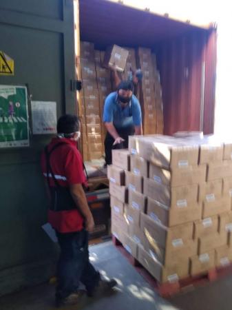 SERVICIO DE PEONETAS
