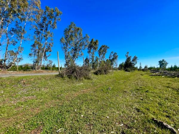 HERMOSA PARCELA PLANA EN CAUQUENES