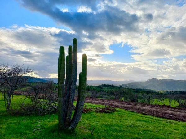 PARCELA PLANA CON GRAN VISTA EN HUALAÑÉ