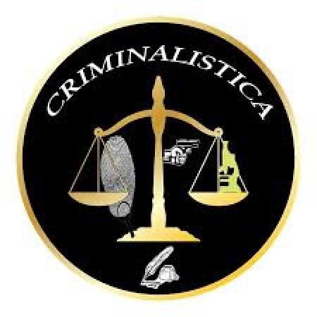 PERITO JUDICIAL 