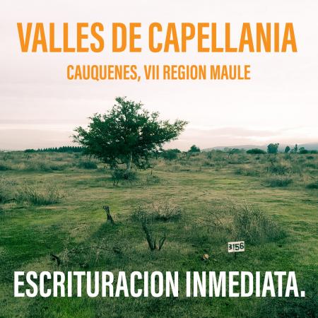 PARCELAS CON ACCESO A RIO CAUQUENES 5000MTS