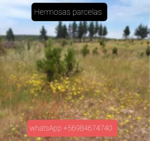 PARCELAS DE AGRADO E INVERSIÓN 