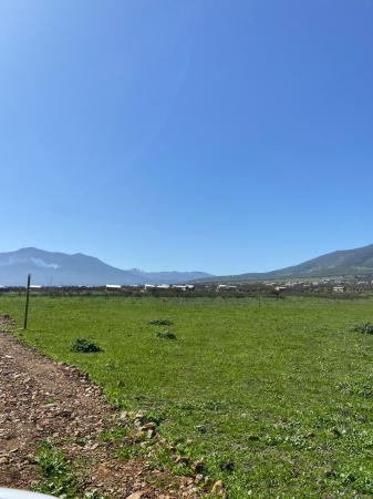 HERMOSOS TERRENOS 