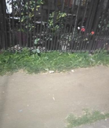 ARRIENDO CASA EN LOS ANGELES