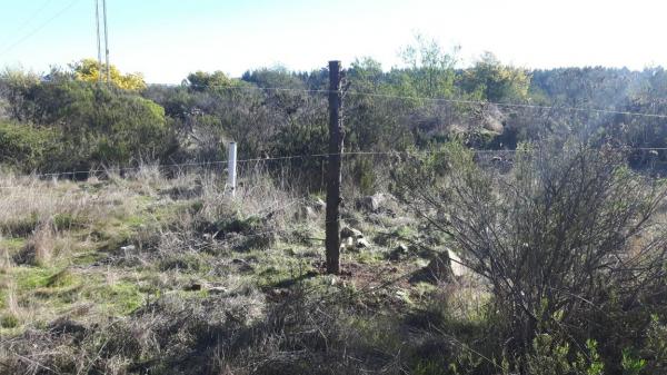 REÑACA  EX HACIENDA UNA HECTARIA