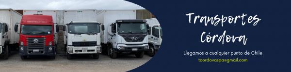 FLETES Y MUDANZAS A TODO CHILE