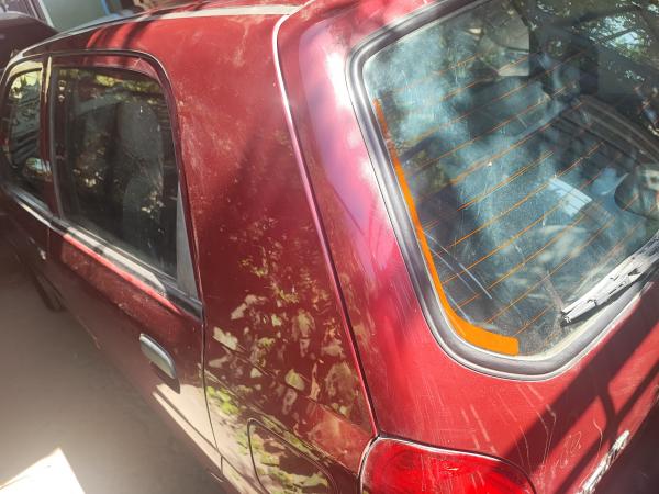 SUZUKI ALTO 800