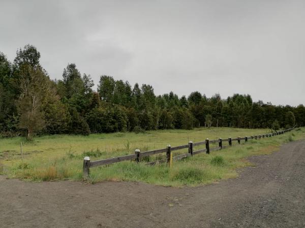 HERMOSA PARCELA CON PRADERA Y BOSQUE 