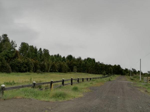 PARCELA CON CABAÑA Y TINAJA