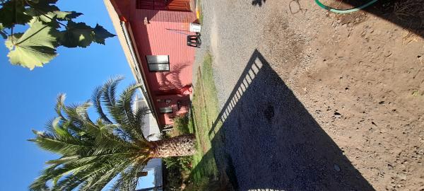 TERRENO CON 3 CASAS 
