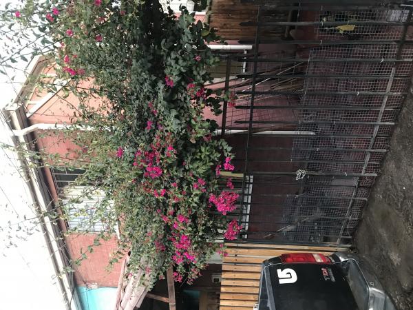 ARRIENDO CASA  AMPLIADA  -  LO MARCOLETA QUILICURA