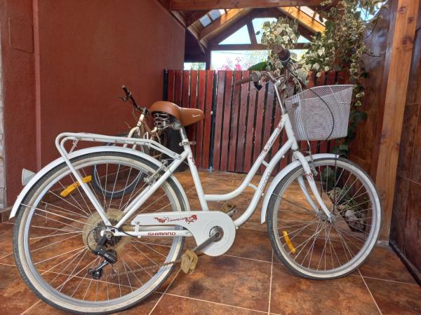 Bicicleta discount scoop venezia