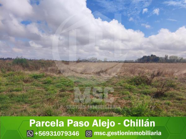 PARCELA PASO ALEJO - CHILLÁN