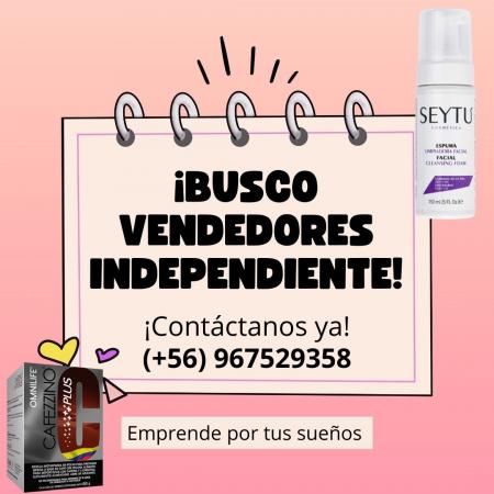 BUSCO EMPRENDEDORES 