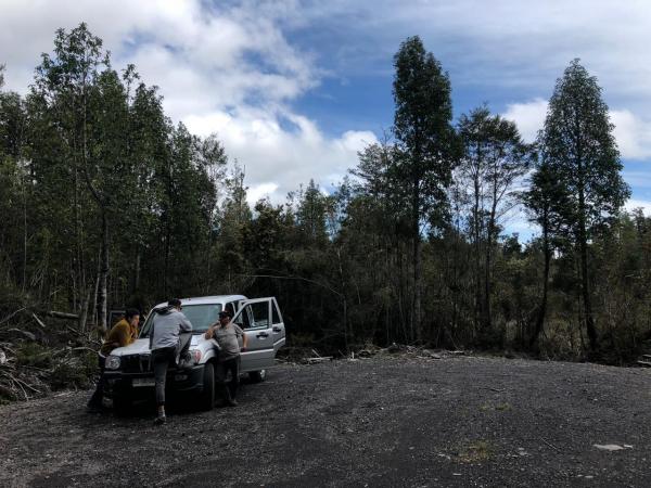  V 1485-RR- PARCELA EN PUERTO VARAS