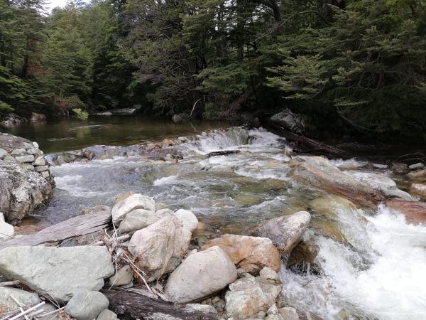 TERRENO DE 9 HAS, CON BORDE DE RÍO,