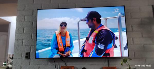 SMART TV SONY BRAVIA DE 65 PULGADAS + SOPORTE PARE