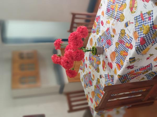 CASA CABAÑA CON SEGUNDO PISO 