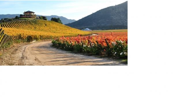 MANTENCION DE CAMINOS DE SERVIDUMBRE 