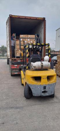 SERVICIOS DE PEONETAS PARA EMPRESA 