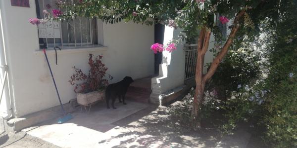 SE VENDE CASA PLENO CENTRO DE VILLA ALEMANA,