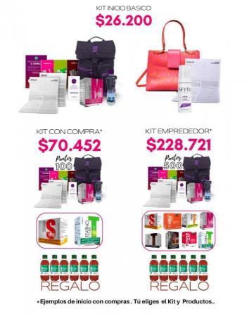 VENTAS POR INTERNET 