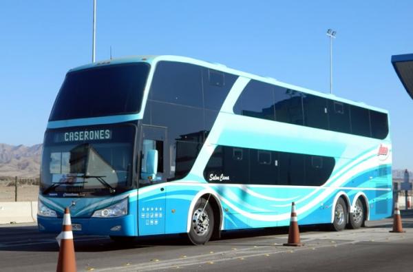 BUSCO TRABAJO PARA CONDUCTOR PROFESIONAL 