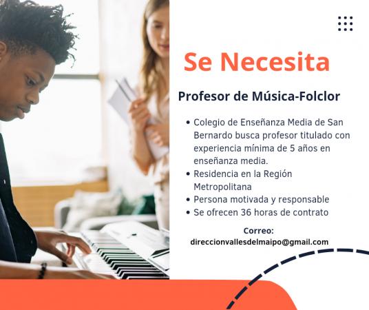 PROFESOR DE MUSICA-FOLCLOR
