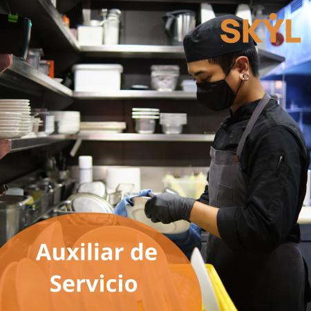 AUXILIAR DE SERVICIO FULL TIME DOMINO - RM