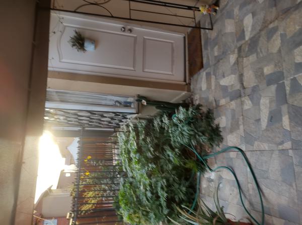 ARRIENDO CASA