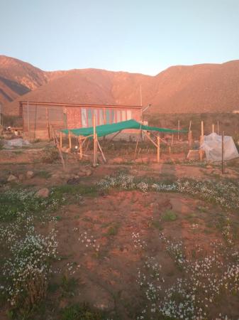 ARRIENDO CASA EN PARCELA DE AGRADO SERENA