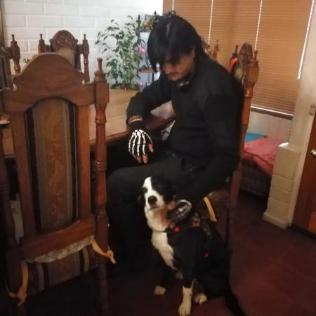 ME OFREZCO COMO PASEADOR DE PERROS PART TIME 