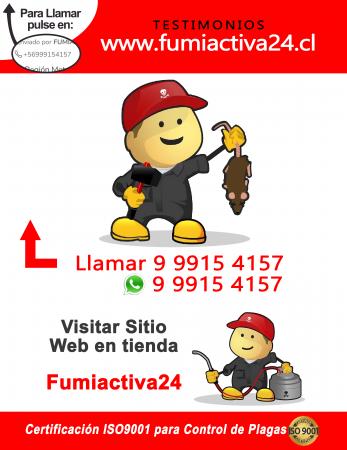 DESRATIZACIÓN EN SANTIAGO-URGENCIAS