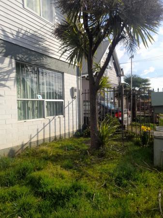 SE ARRIENDA CASA FUNDO EL CARMEN