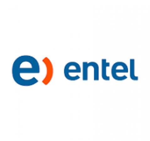 TÉCNICO EN TELECOMUNICACIONES ENTEL