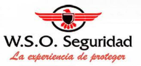 ASISTENTES DE ASEO