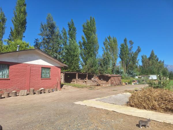 PARCELA CON 2 CASAS LA GONZALINA