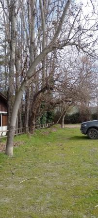 ARRIENDO GRAN OPORTUNIDAD FAMILIAR 