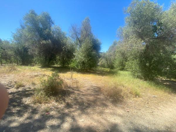 SE VENDE PARCELA EN SAN ANTONIO