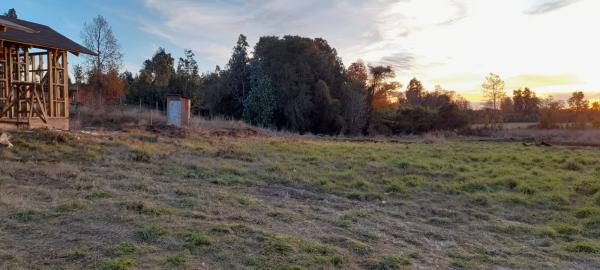 VENDO PARCELA EN VILLARRICA 50 MILLONES