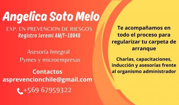 OFREZCO SERVICIOS EN PREVENCION DE RIESGOS PYMES