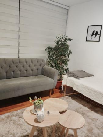 BROWN PROPIEDADES OFRECE ARRIENDO