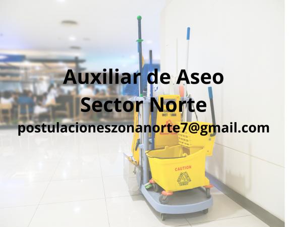 AUXILIARES DE ASEO