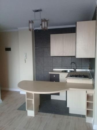 ARRIENDO DEPTO. SANTIAGO CENTRO